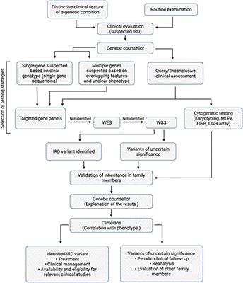 Advancing precision medicines for ocular disorders: Diagnostic genomics to tailored therapies